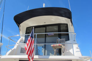 Bimini awning