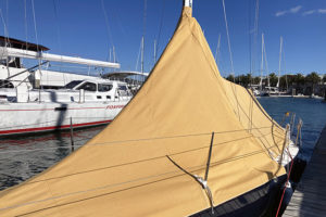 gold sail boat cover