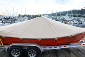 tan sunbrella boat cover
